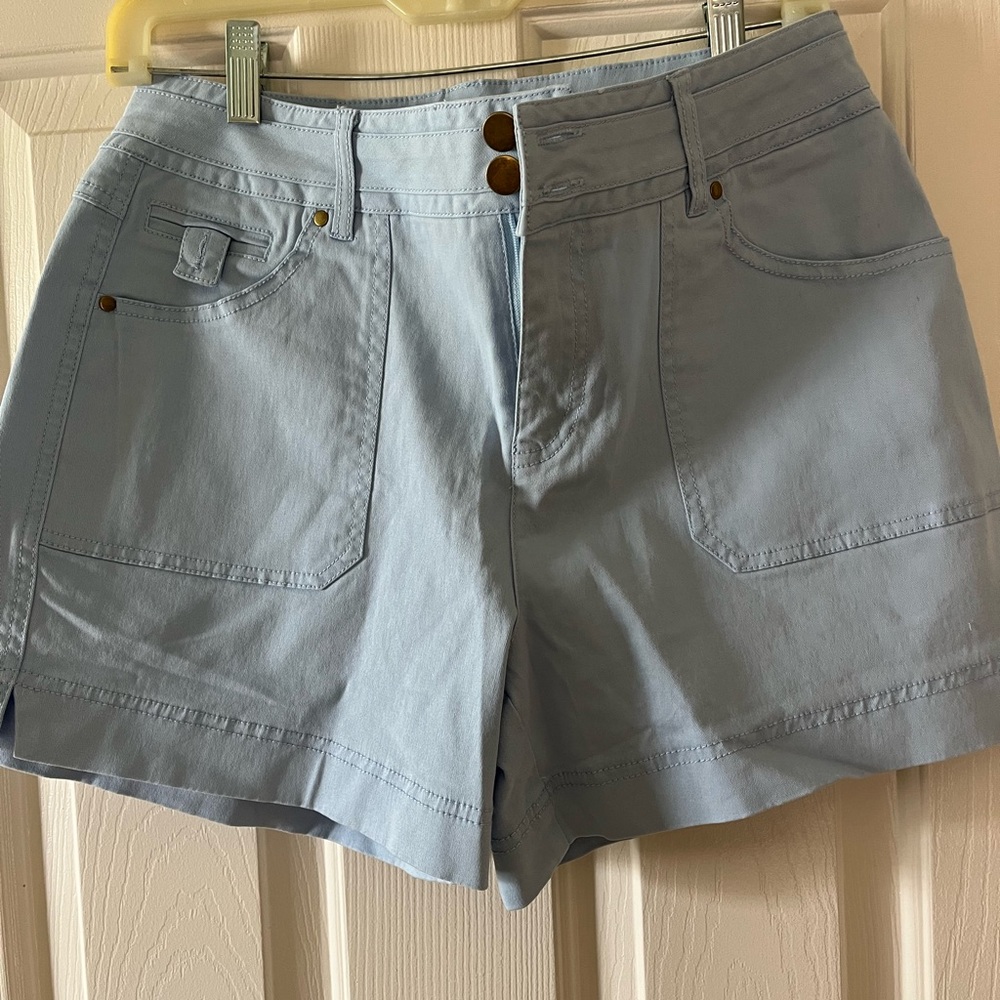 Flamingals Women's High-Rise Shorts